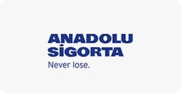 Anadolu Sigorta İngilizce Logo